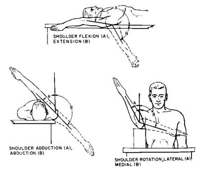 Shoulder extension and Flexion