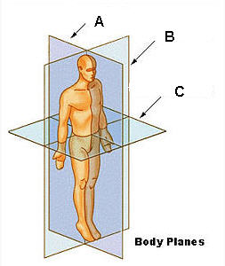 body-planes