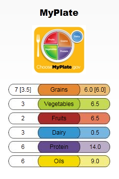 meal planning software