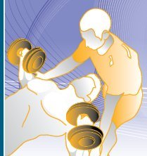 Tailored Fit Personal Training and Yoga